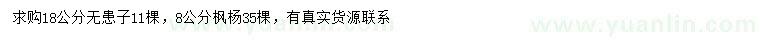 求購8公分楓楊、18公分無患子