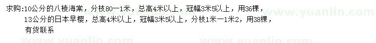 求購10公分八棱海棠、13公分日本早櫻