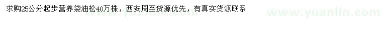 求購25公分以上油松