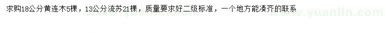 求購18公分黃連木、13公分流蘇