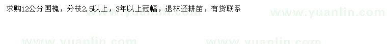 求購12公分國槐