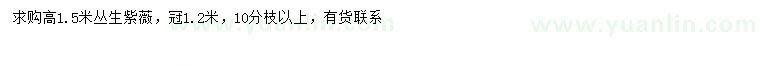 求購高1.5米叢生紫薇