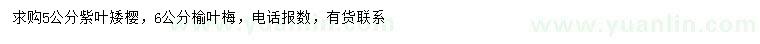 求購5公分紫葉矮櫻、6公分榆葉梅