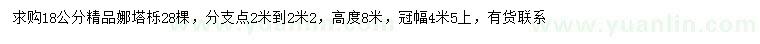 求購18公分娜塔櫟