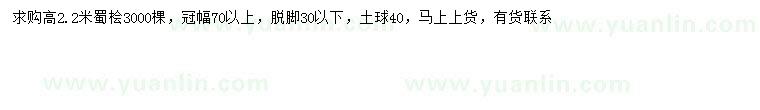 求購高2.2米蜀檜