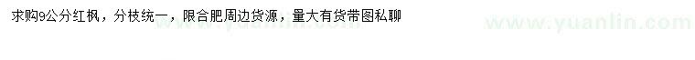 求購9公分紅楓