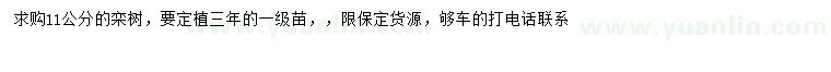 求購(gòu)11公分欒樹(shù)