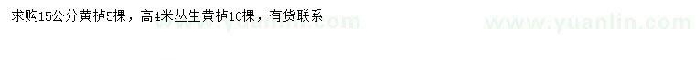 求購15公分黃櫨、高4米叢生黃櫨