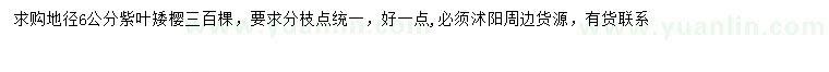 求購地徑6公分紫葉矮櫻