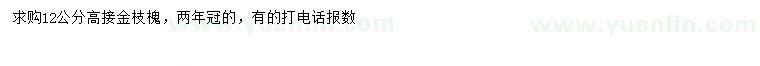 求購12公分高接金枝槐