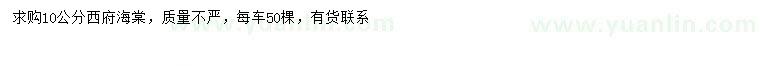 求購10公分西府海棠