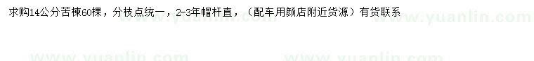 求購14公分苦楝