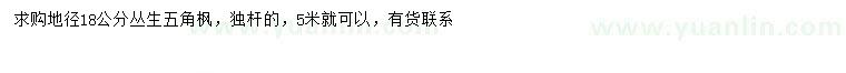 求購地徑18公分叢生五角楓