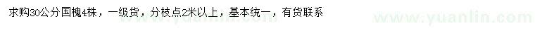求購30公分國槐