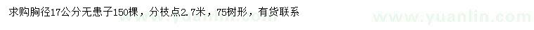 求購胸徑17公分無患子