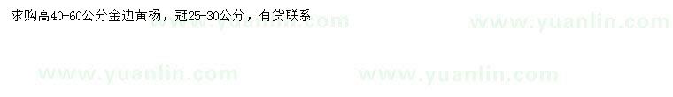 求購(gòu)高40-60公分金邊黃楊