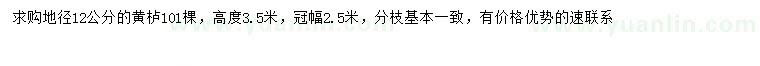 求購地徑12公分黃櫨