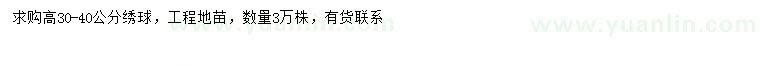 求購(gòu)高30-40公分繡球