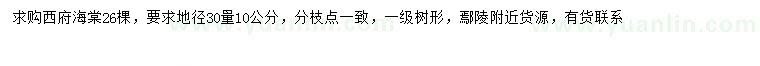 求購(gòu)30量10公分西府海棠