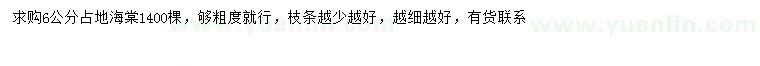 求購(gòu)6公分海棠