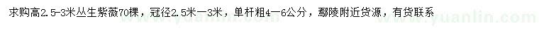 求購高2.5-3米叢生紫薇