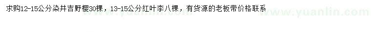 求購(gòu)12-15公分染井吉野櫻、13-15公分紅葉李