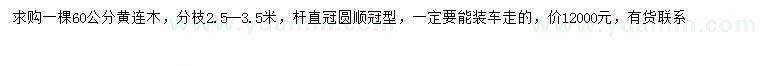 求購60公分黃連木