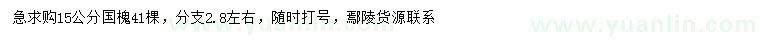 求購(gòu)15公分國(guó)槐