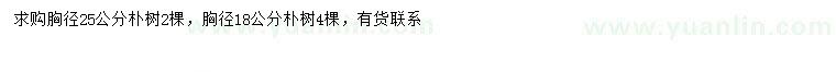 求購胸徑18、25公分樸樹