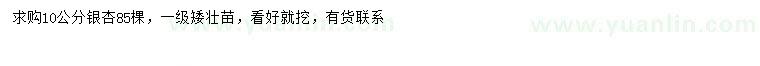 求購10公分銀杏