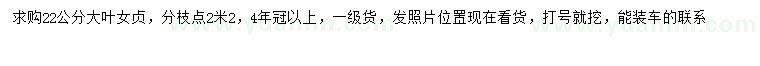 求購22公分大葉女貞