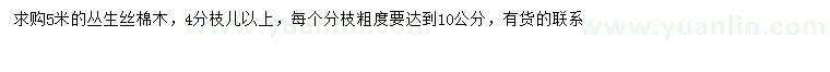 求購5米叢生絲棉木