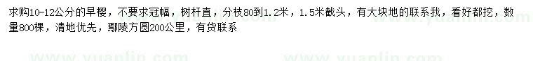 求購10-12公分早櫻