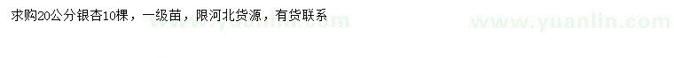 求購(gòu)20公分銀杏