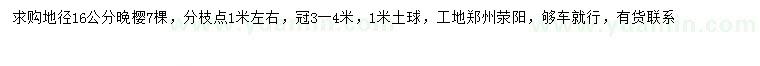 求購地徑16公分晚櫻