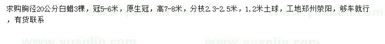 求購胸徑20公分白蠟