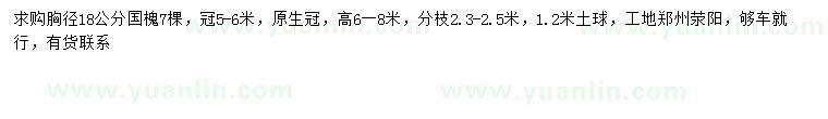 求購胸徑18公分國槐