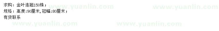 求購(gòu)高90公分金葉連翹
