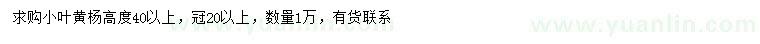 求購(gòu)高40公分以上小葉黃楊