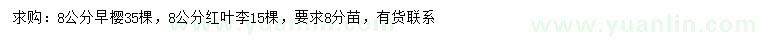 求購(gòu)8公分早櫻、紅葉李