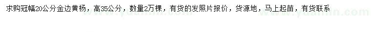 求購高35公分金邊黃楊