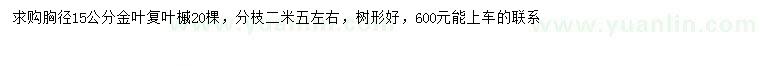求購胸徑15公分金葉復葉槭