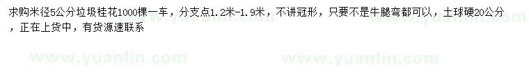 求購(gòu)米徑5公分桂花