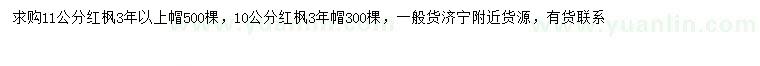 求購10、11公分紅楓