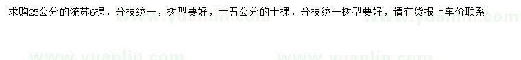 求購15、25公分流蘇