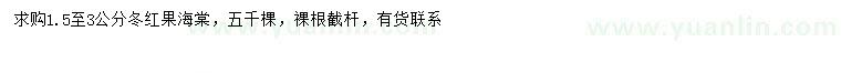 求購1.5-3公分冬紅果海棠
