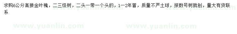 求購6公分高接金葉槐