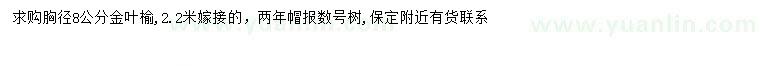 求購(gòu)胸徑8公分金葉榆