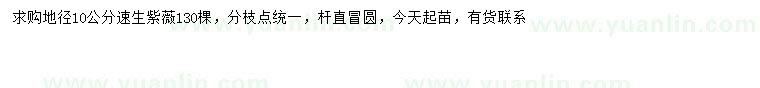 求購地徑10公分速生紫薇