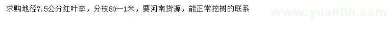 求購地徑7.5公分紅葉李
